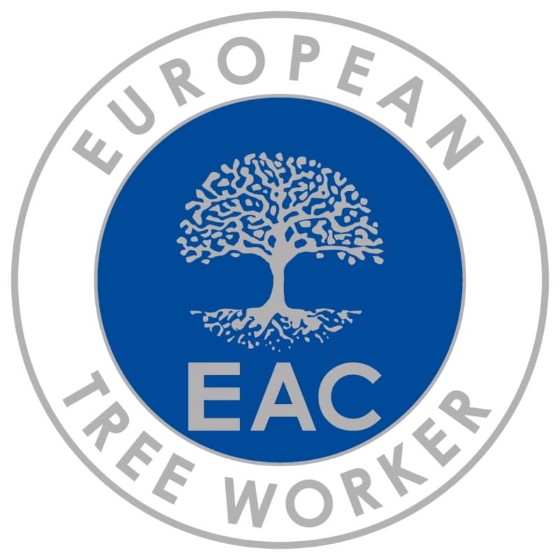 European tree worker in Herne