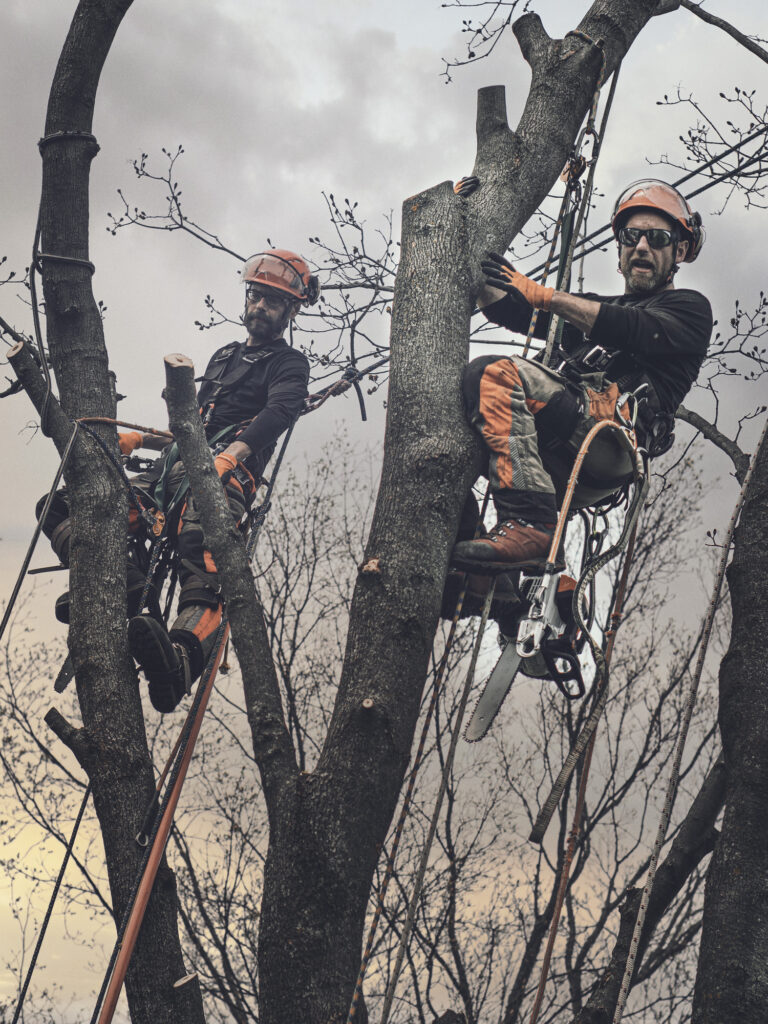 Baumpflege Team Herne Über Uns